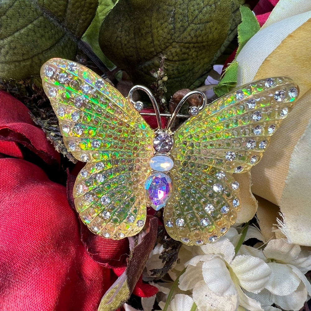 Iridescent Butterfly Brooch Women’s accessories